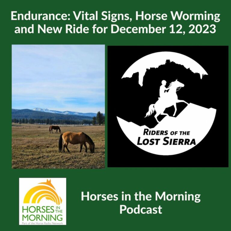 Endurance: Vital Signs, Horse Worming and New Ride for December 12, 2023