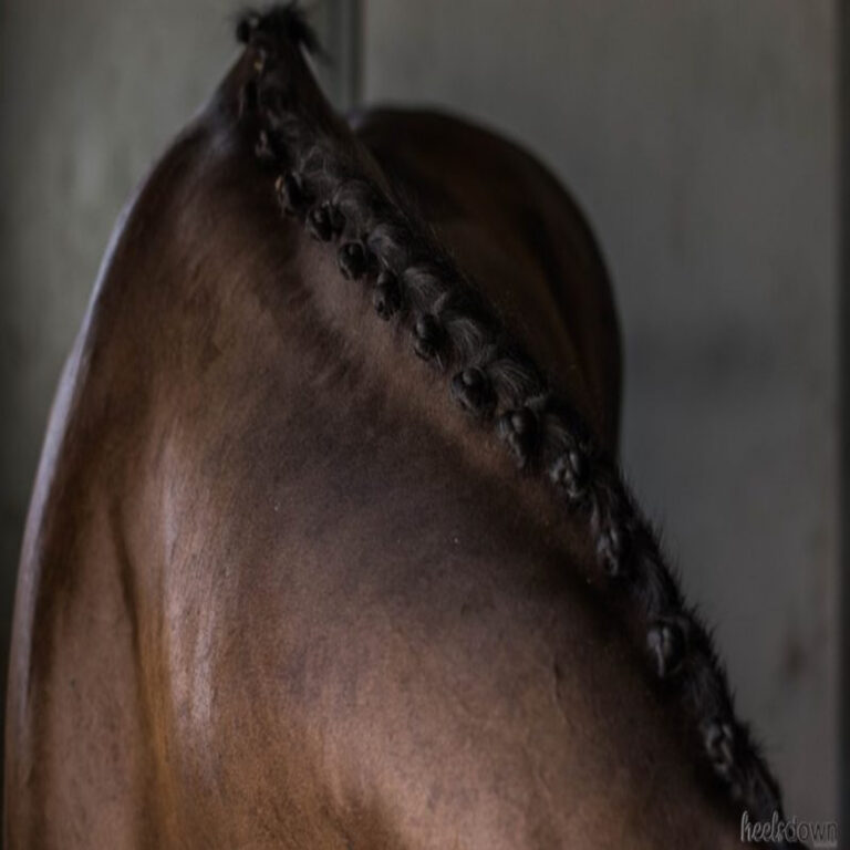 [Aggregator] Downloaded image for imported item #279718