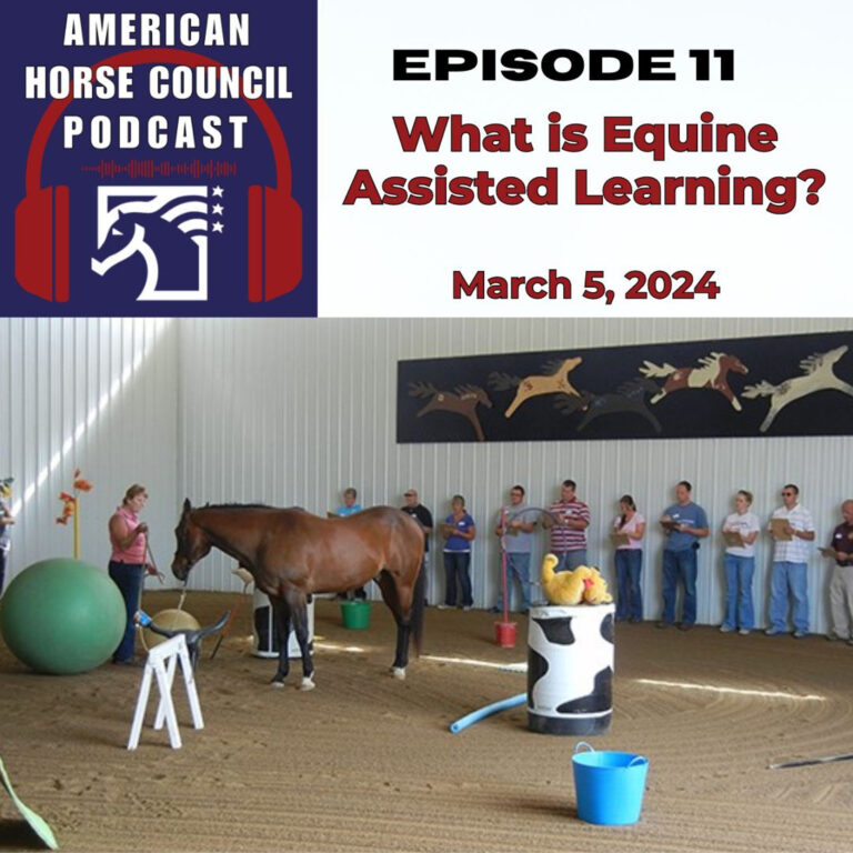What is Equine Assisted Learning? For March 5th, 2024 by The American Horse Council – HORSES IN THE MORNING