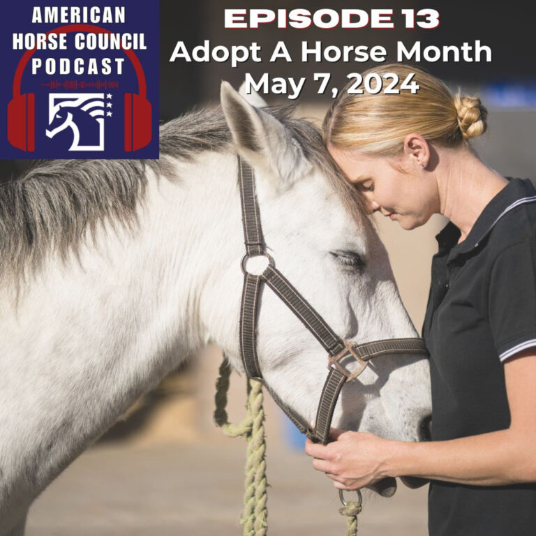 Adopt a Horse Month for May 7th, 2024 by The American Horse Council – Horses in the Morning – HORSES IN THE MORNING