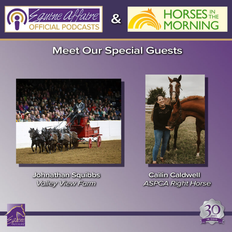 Equine Affaire: The Ponies of Equine Affaire – HORSES IN THE MORNING