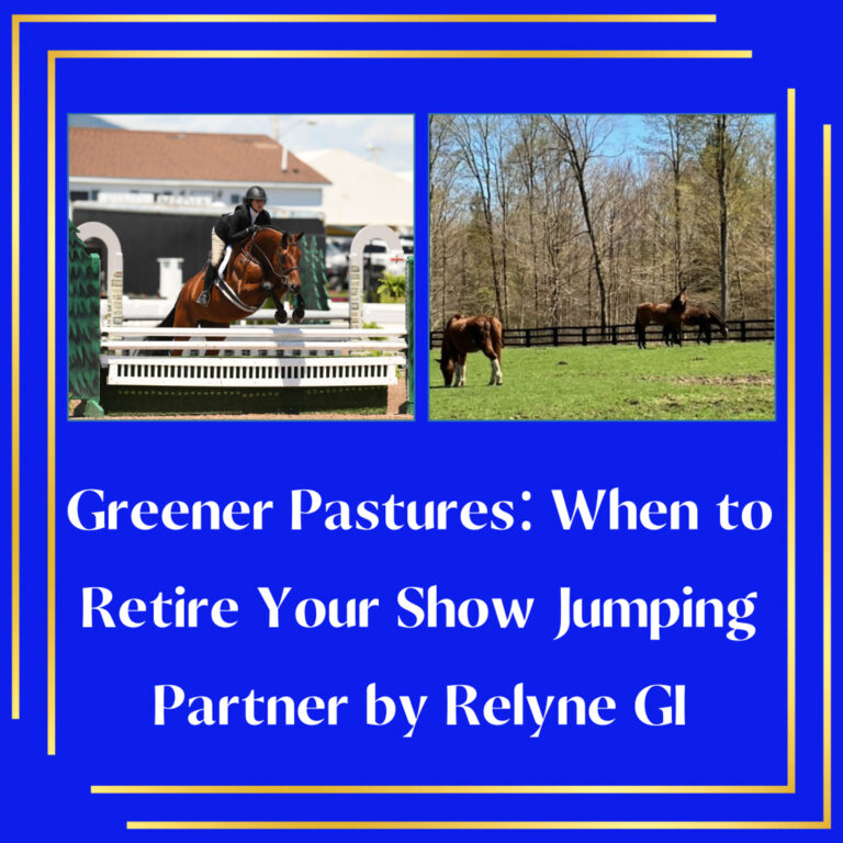 Greener Pastures: When to Retire Your Show Jumping Partner by Relyne GI
