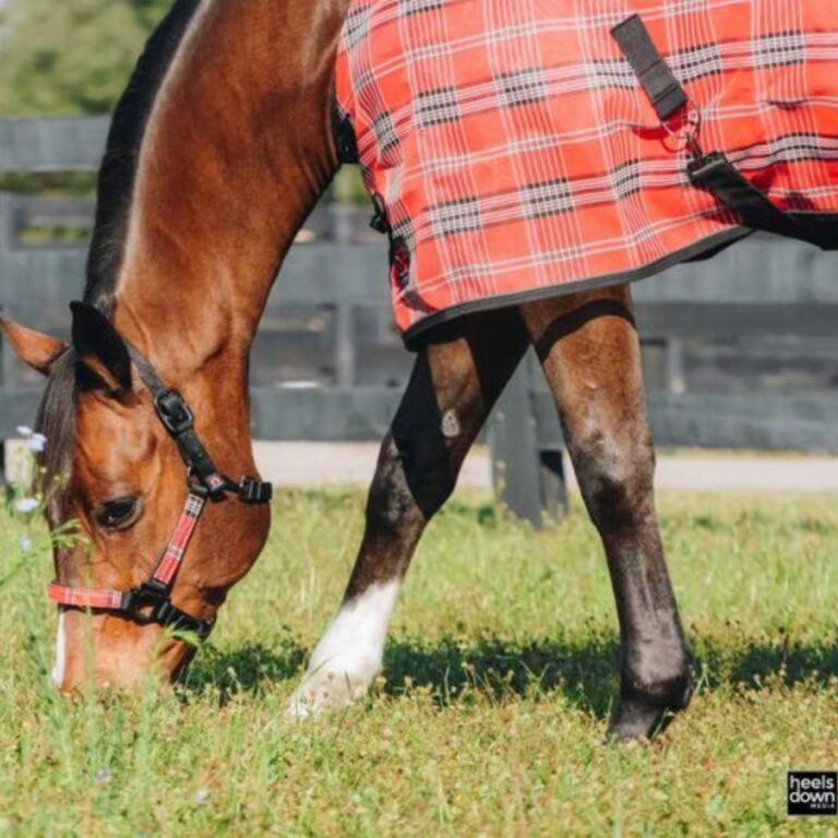 [Aggregator] Downloaded image for imported item #279710