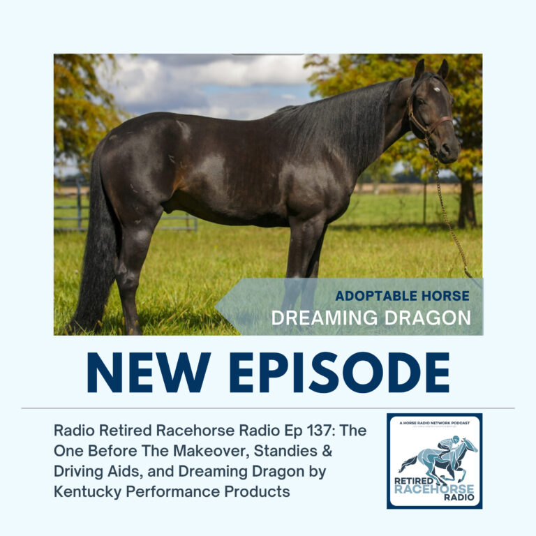 Retired Racehorse Radio: The One Before the Makeover, Standie Driving Aids, and Dreaming Dragon by Kentucky Performance Products