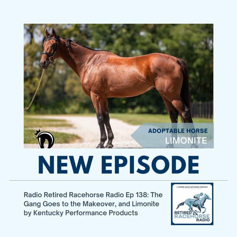 The Gang Goes to the Makeover, and Limonite by Kentucky Performance Products