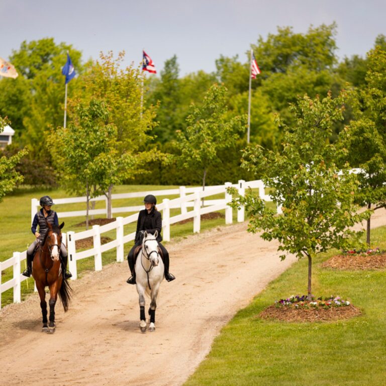 [Aggregator] Downloaded image for imported item #279694