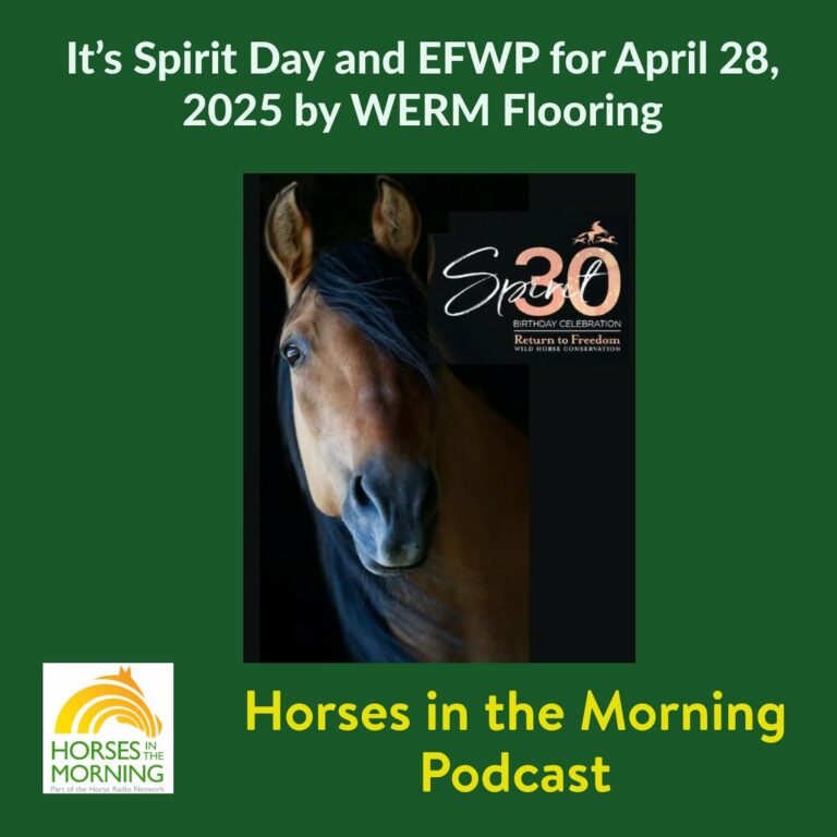 It’s Spirit Day and EFWP for April 28, 2025 by WERM Flooring