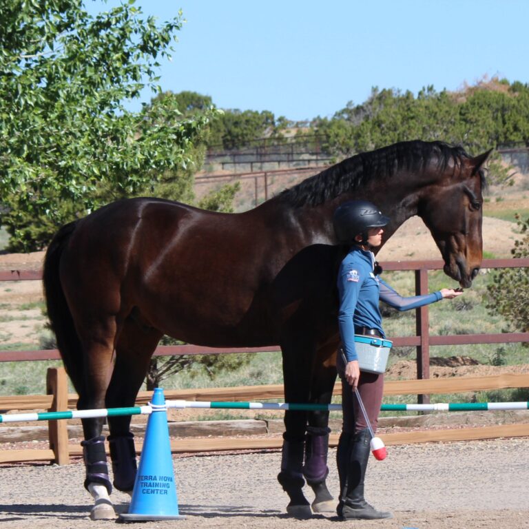 [Aggregator] Downloaded image for imported item #279686