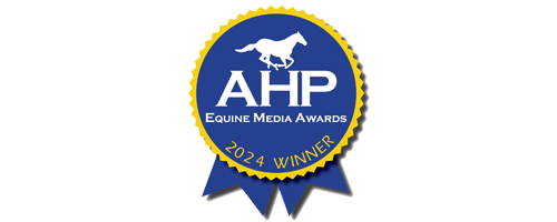 AHP-1.png