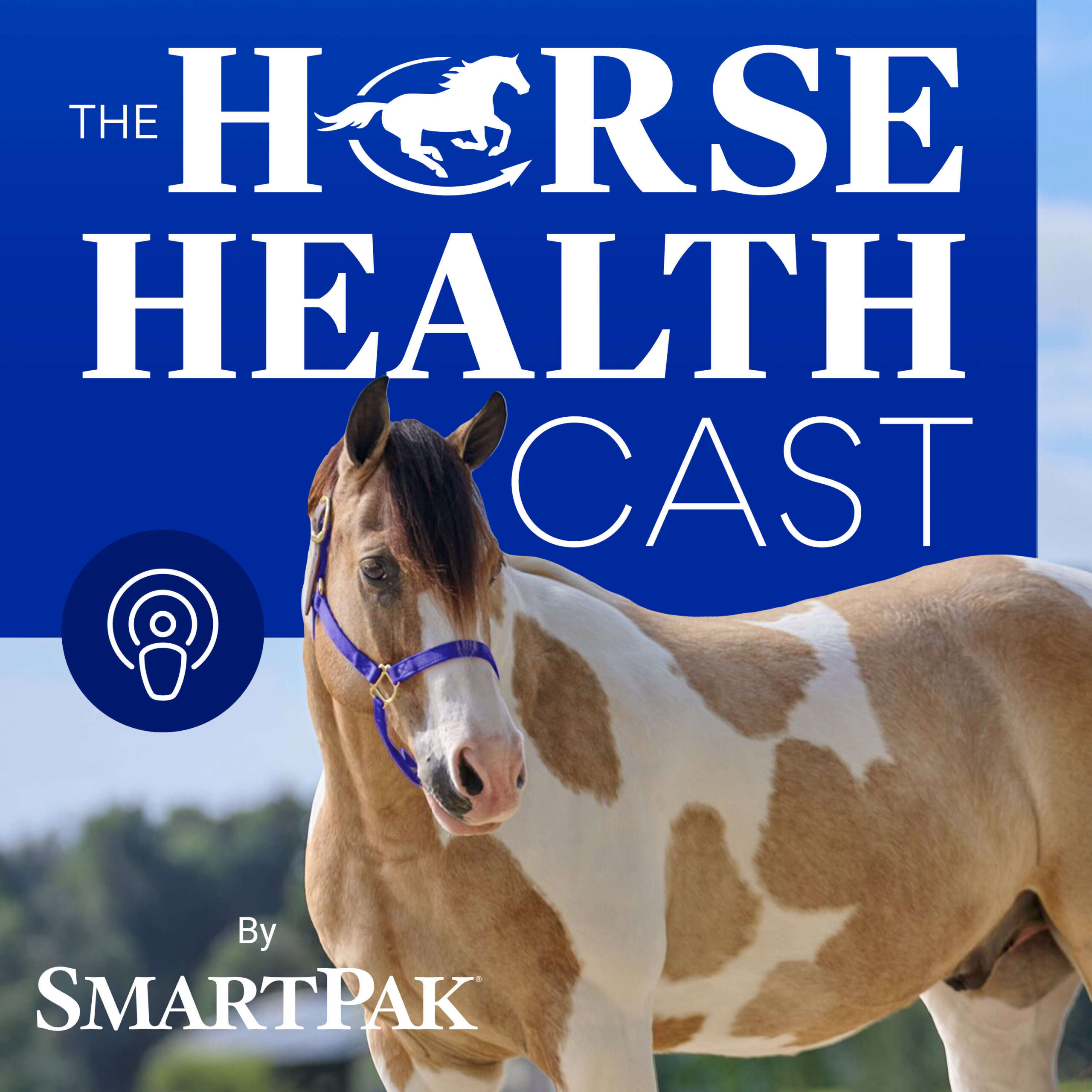 SP_2026_PodcastCoverArt (1)
