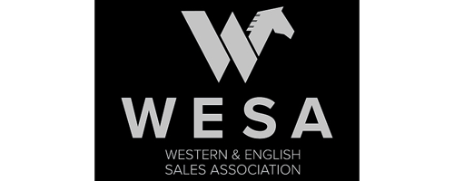 Wesa.png