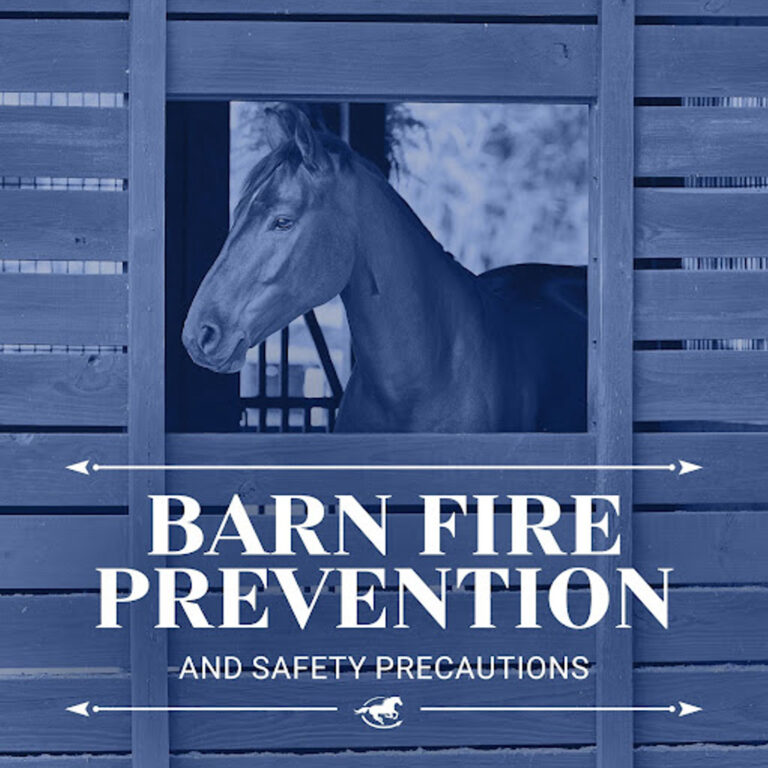 Barn Fire Prevention and Safety Precautions – The Horse HealthCast with SmartEquine