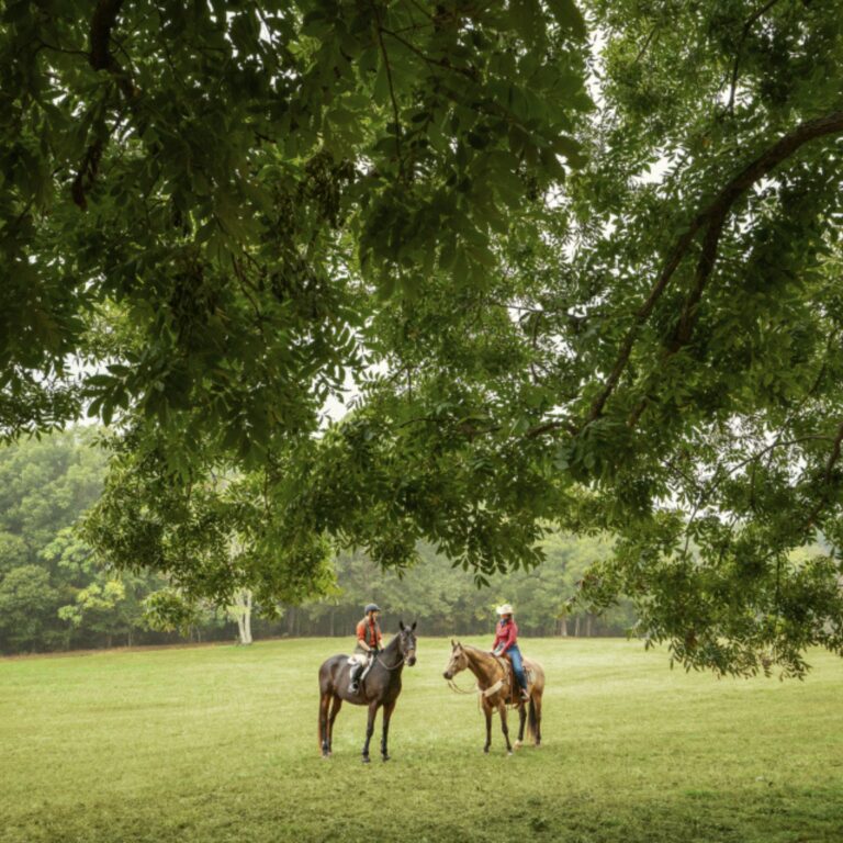 [Aggregator] Downloaded image for imported item #279678