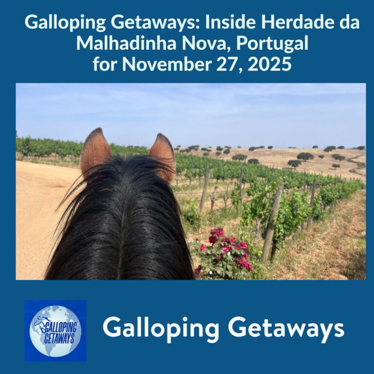 Galloping Getaways:  Inside Herdade da Malhadinha Nova, Portugal for November 27, 2025