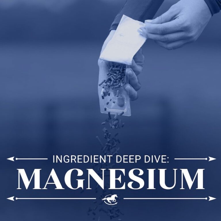 Ingredient Deep Dive: Magnesium – The Horse HealthCast with SmartEquine