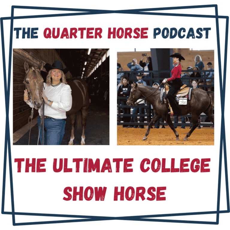 The Ultimate College Show Horse – The Quarter Horse Podcast