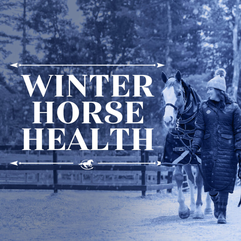 Winter Horse Health