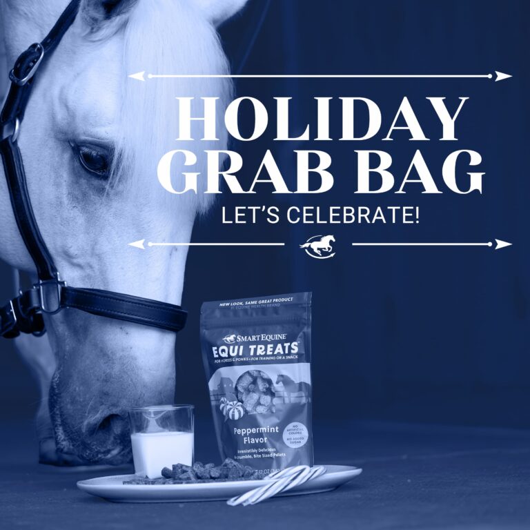 Holiday Grab Bag (Let’s Celebrate!)