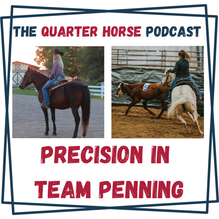 Precision in Team Penning