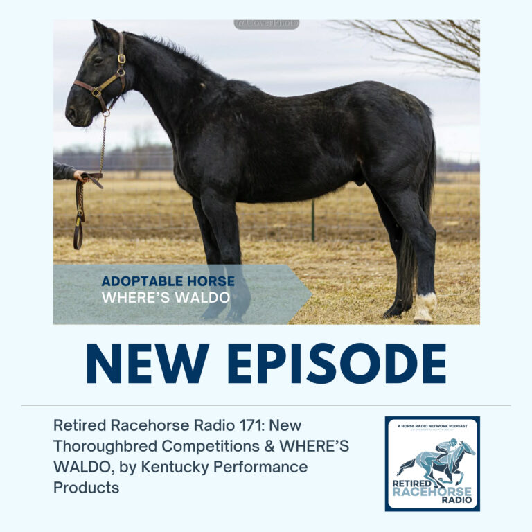 New Thoroughbred Competitions and WHERE’S WALDO by Kentucky Performance Products