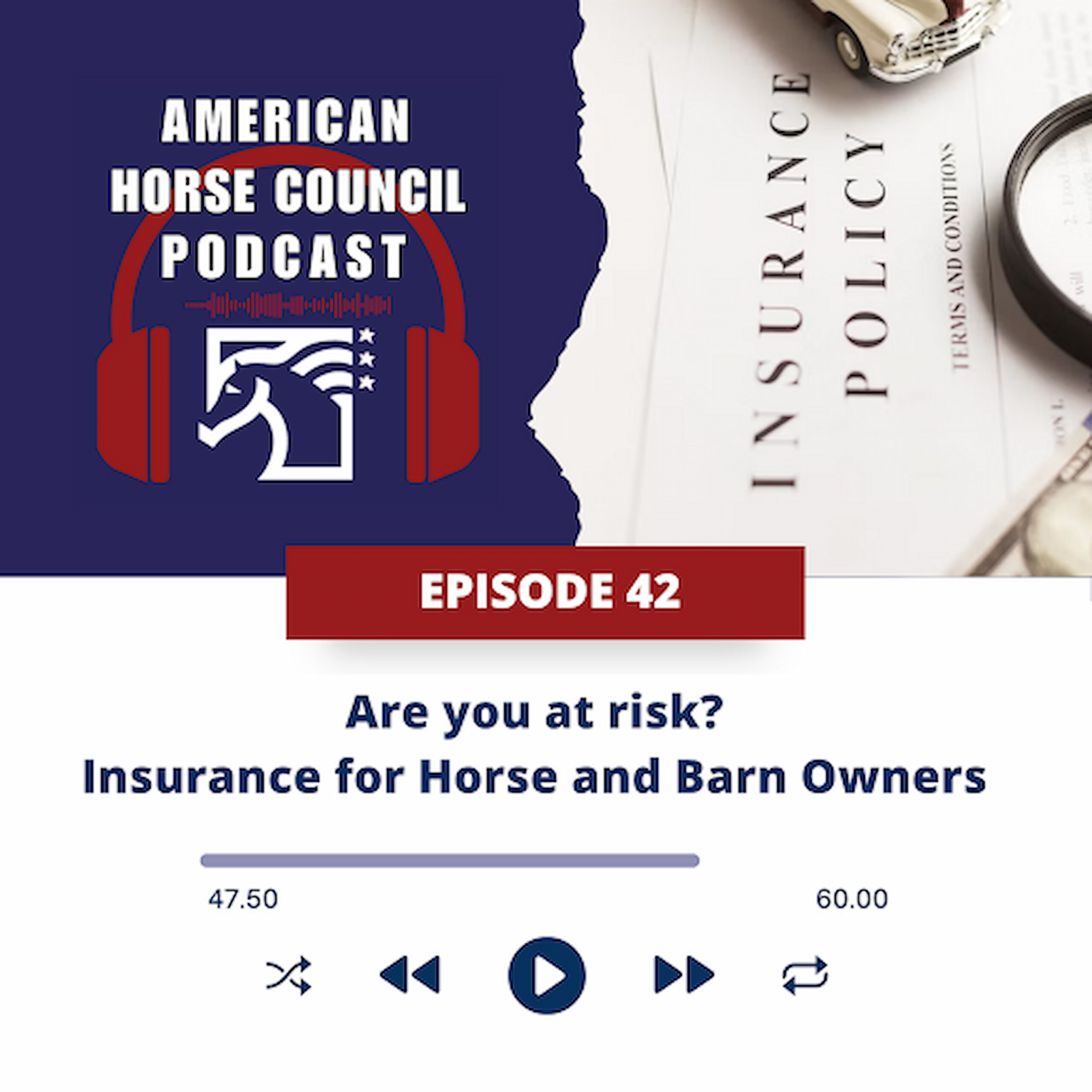 Are you at risk? Insurance for Horse and Barn Owners