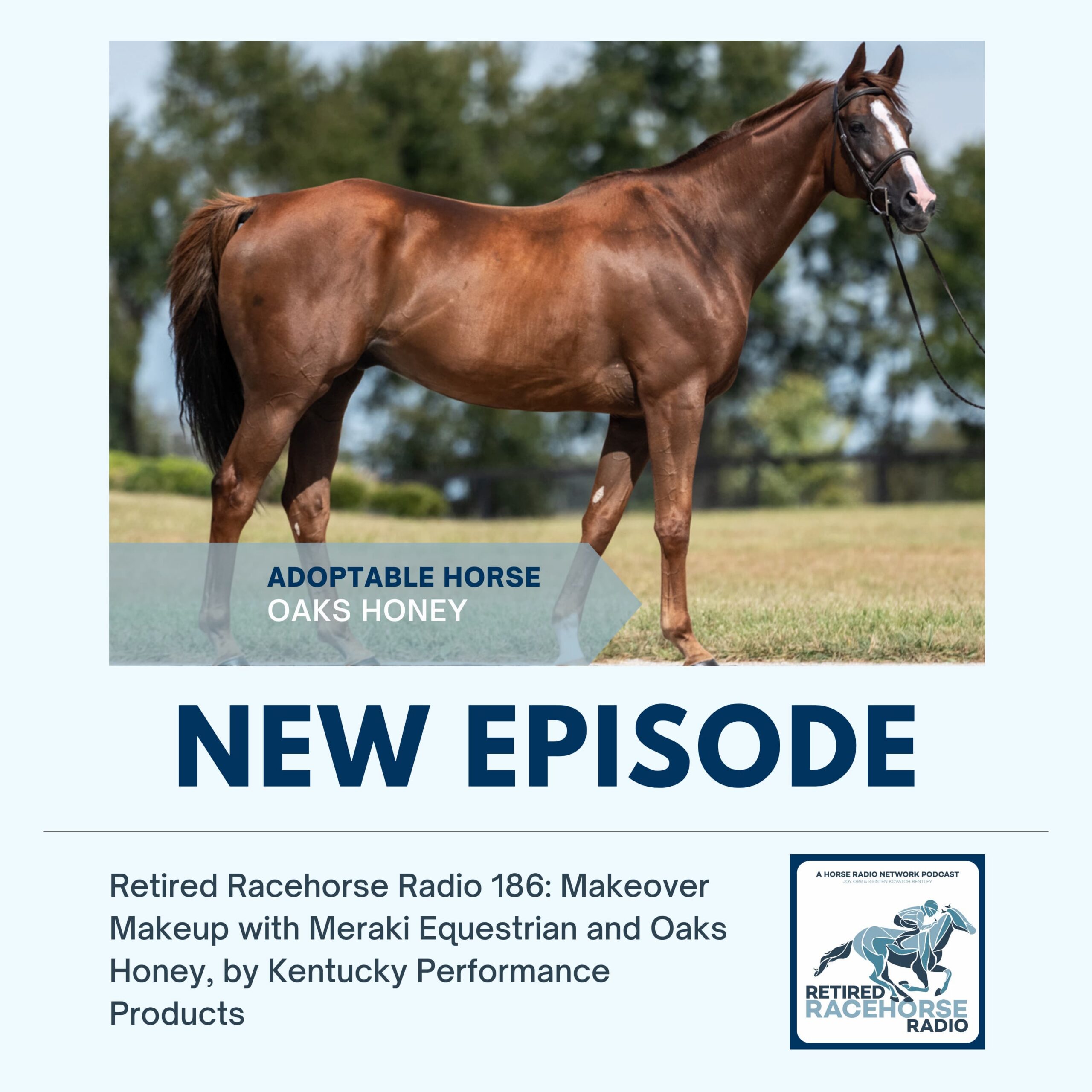 186: Makeover Makeup with Meraki Equestrian and Oaks Honey by Kentucky Performance Products