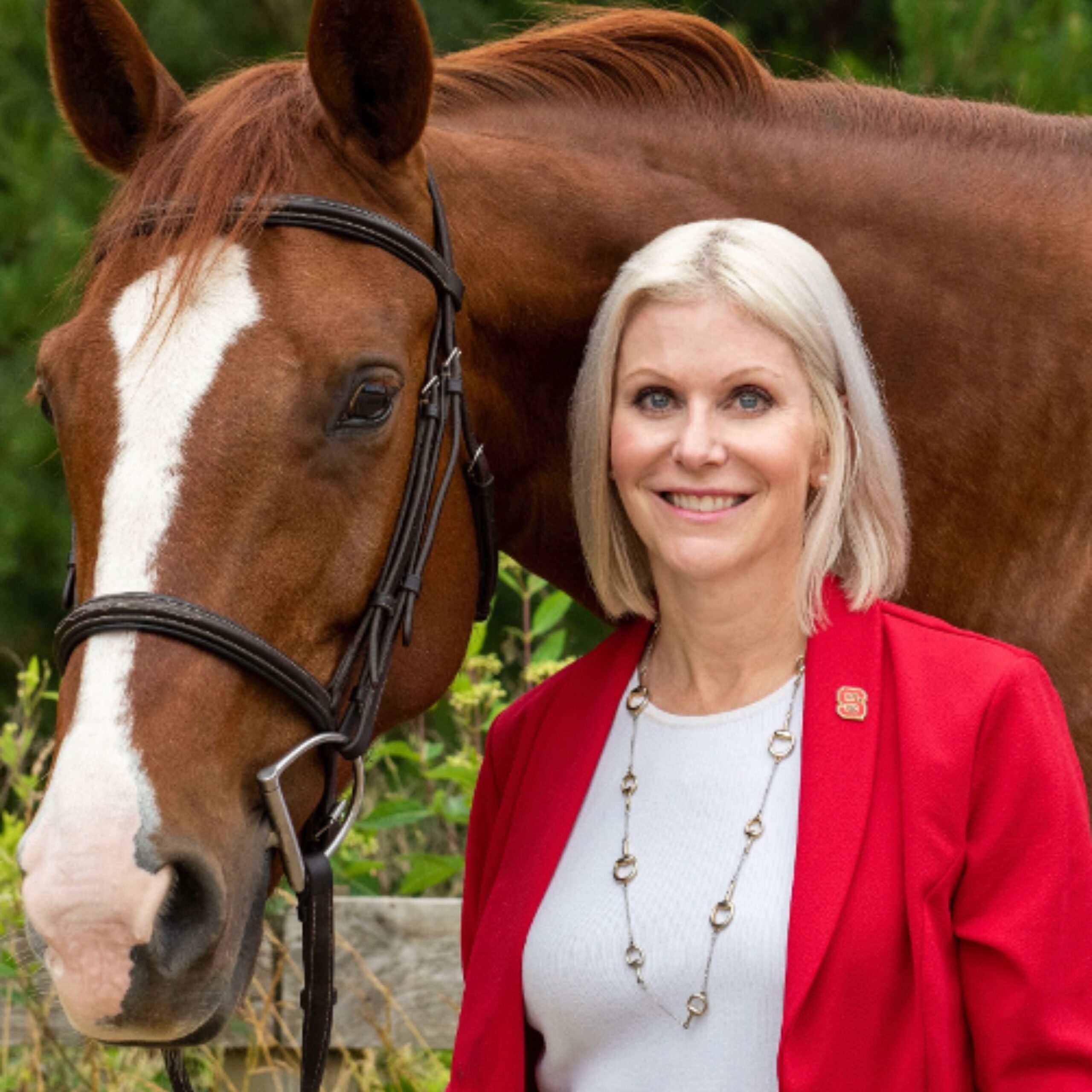 Putting Weight on Senior Horses
