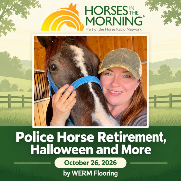 Police Horse Retirement, Halloween and Groot for October 26, 2026 by WERM Flooring