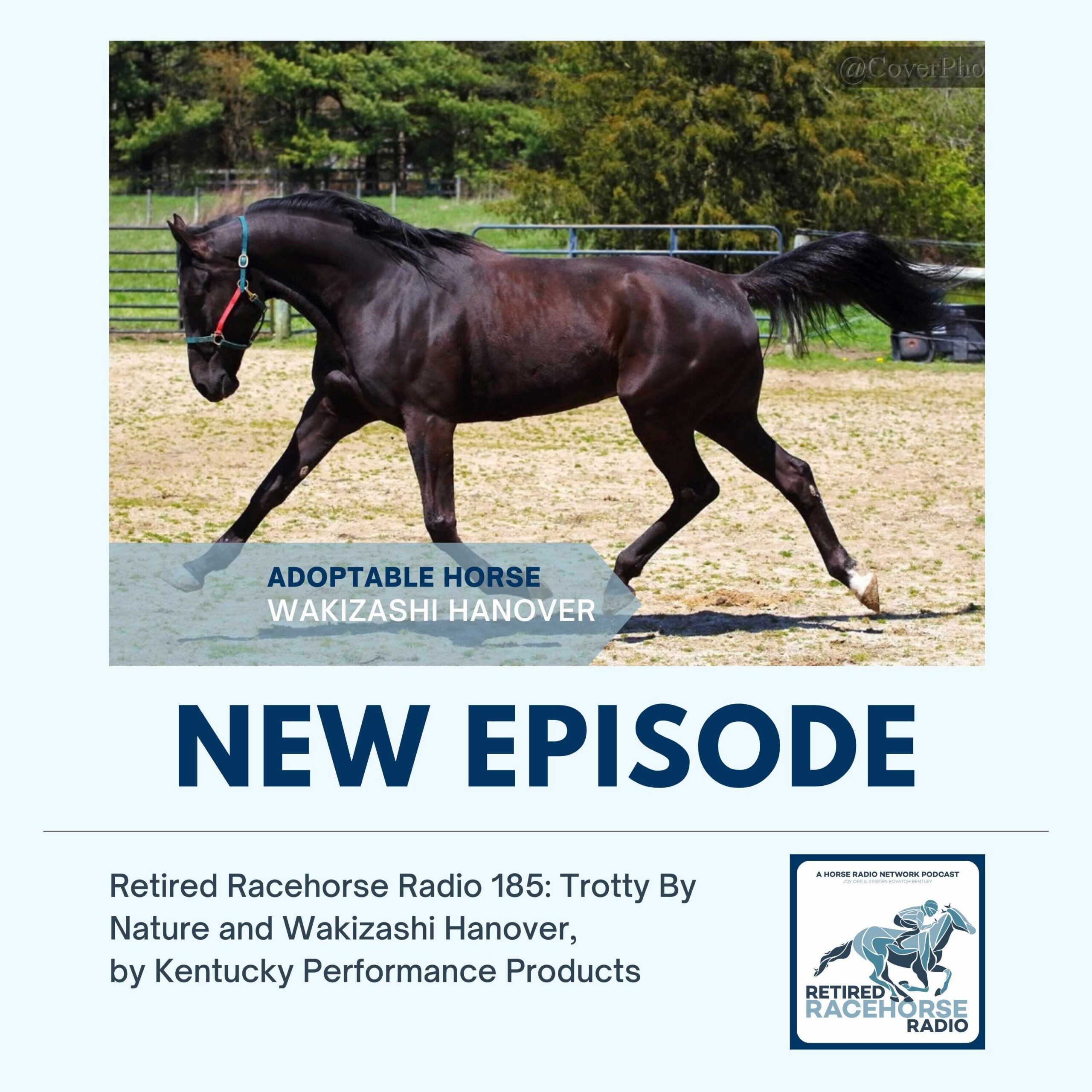 Trotty By Nature and Wakizashi Hanover by Kentucky Performance Products