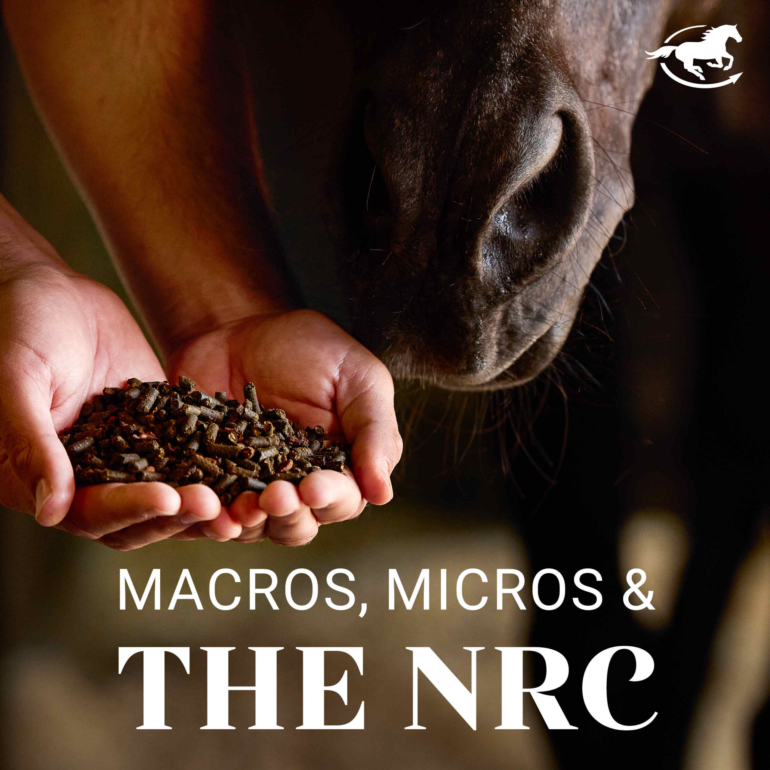 Macros, Micros, & the NRC